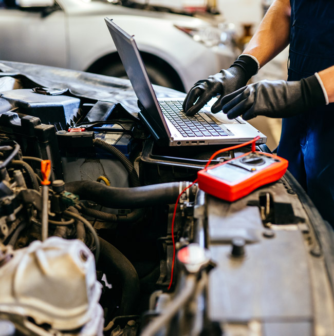 Tekst zastępczy obrazka